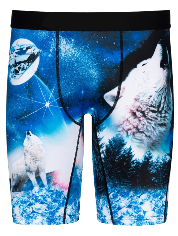 Men's Boxer Briefs with Wolves in the Moonlight