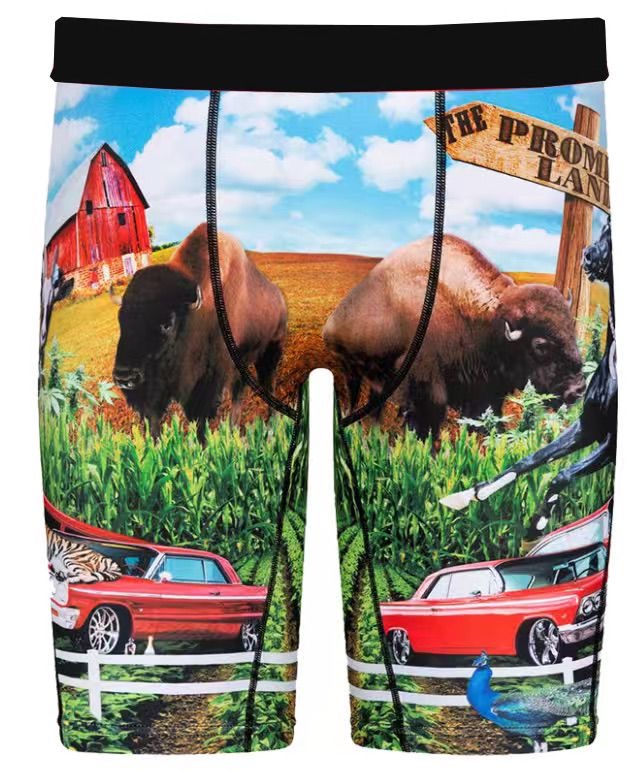 Men's Boxer Briefs with Bison and Farmland