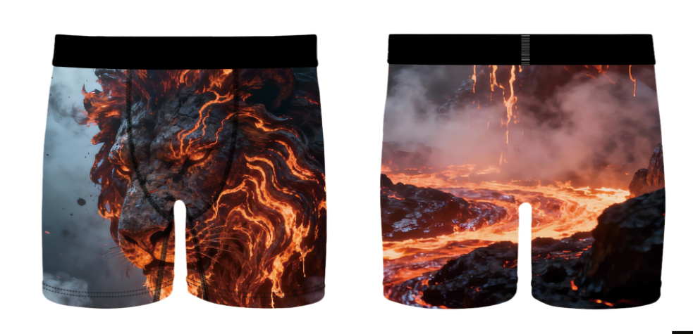 Fire Leopards Boxer Briefs