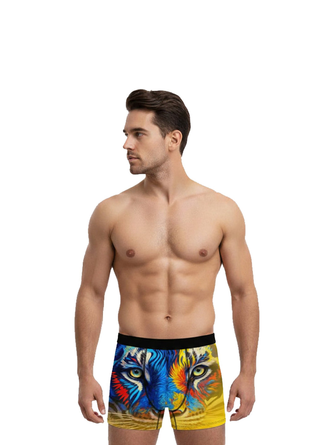 Men's Boxer Briefs Arctic Howl, Colourful Tiger Face, view 2