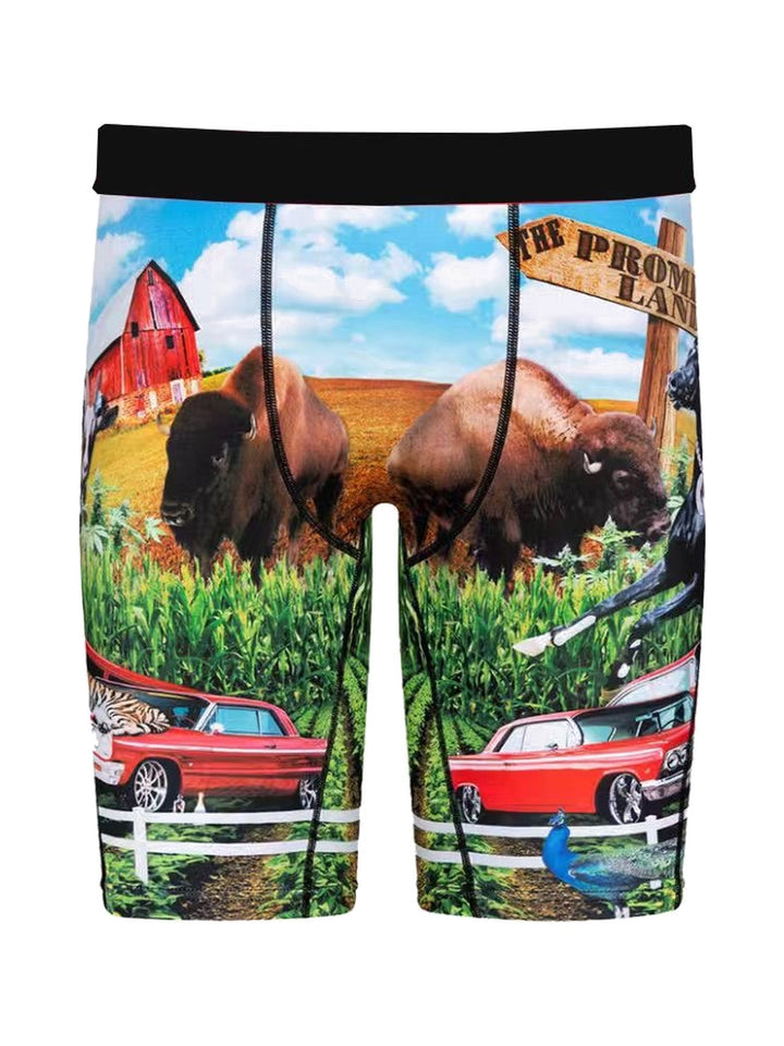 Men's Boxer Briefs with Bison and Farmland